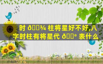 时 🌾 柱将星好不好,八字时柱有将星代 💮 表什么